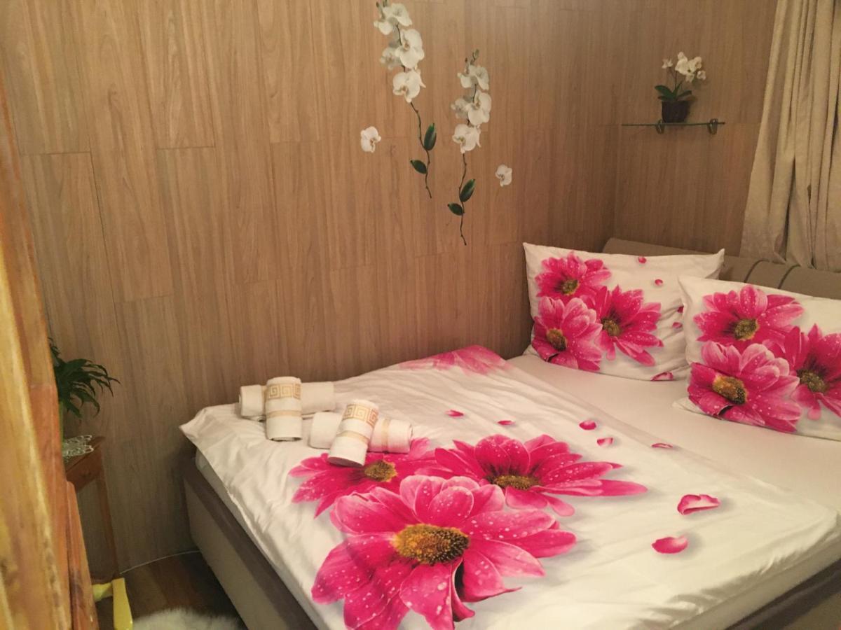 Apartment Hlinska Czeskie Budziejowice Zewnętrze zdjęcie