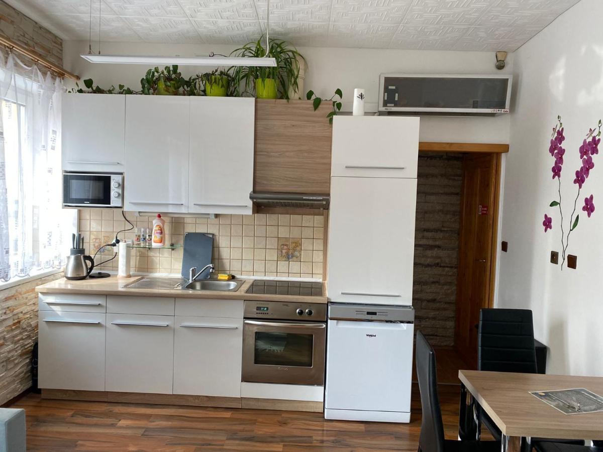 Apartment Hlinska Czeskie Budziejowice Zewnętrze zdjęcie