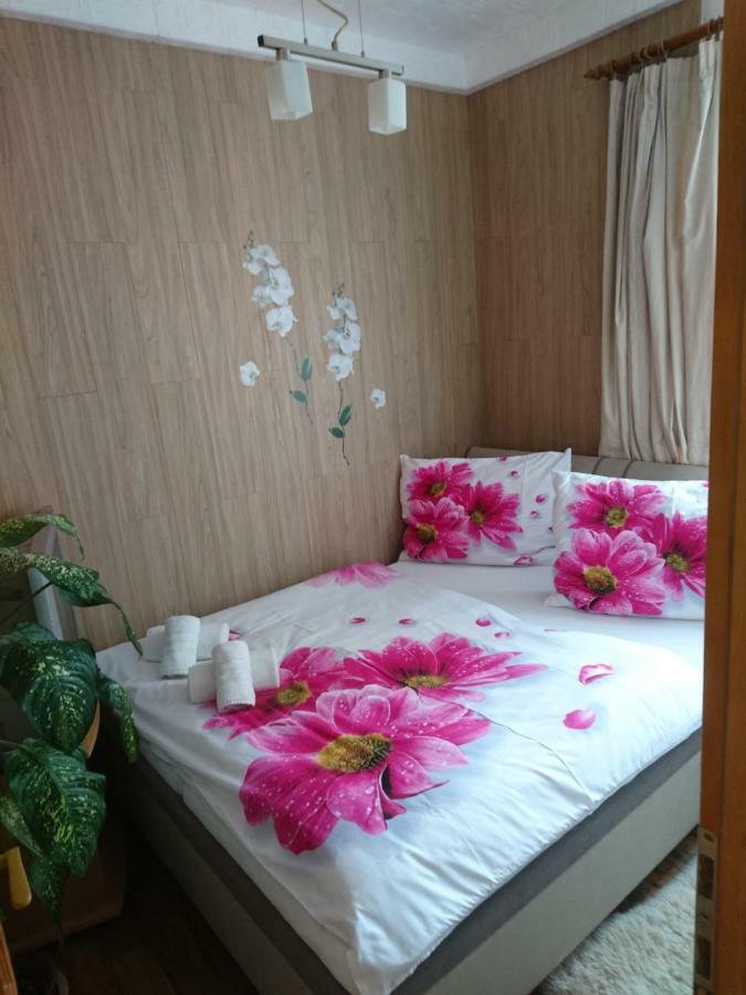 Apartment Hlinska Czeskie Budziejowice Zewnętrze zdjęcie